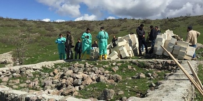 Dersim Katliamından 77 Yıl Sonra Yapılan İlk Kazıda 8 İnsan Kafatası Bulundu