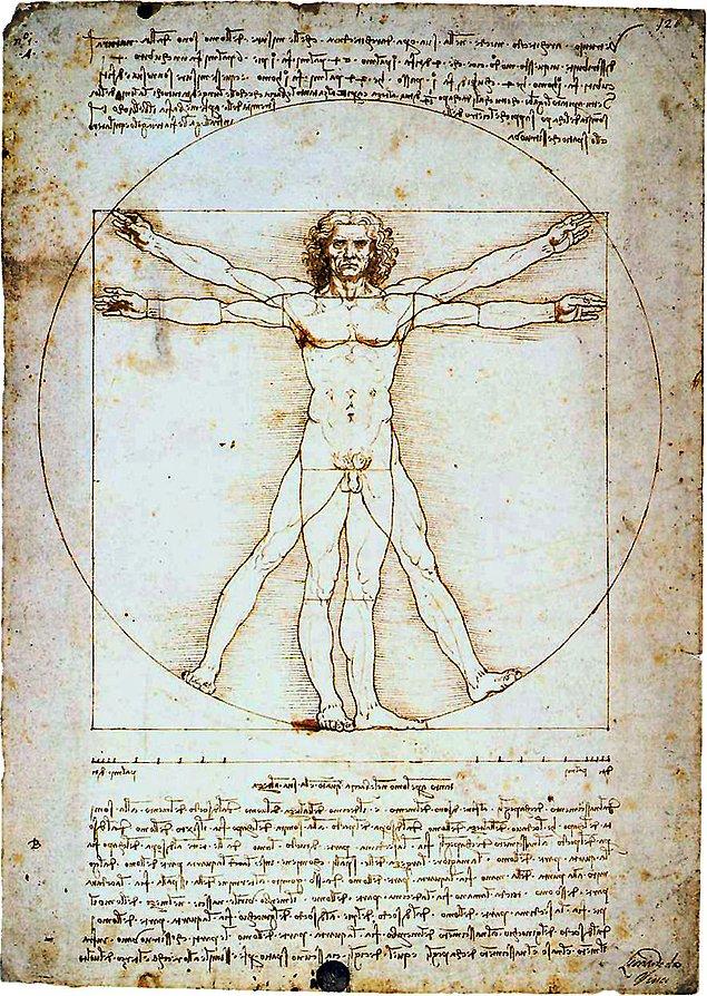 5-) İnsan vücudu ile ilgili araştırmaları ve "Vitruvius Adamı"