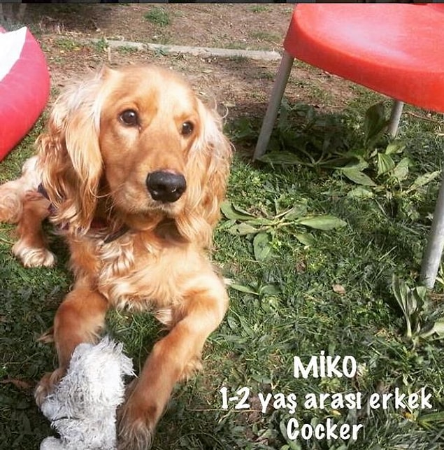 21. Yuva arayan çocuklarımız...