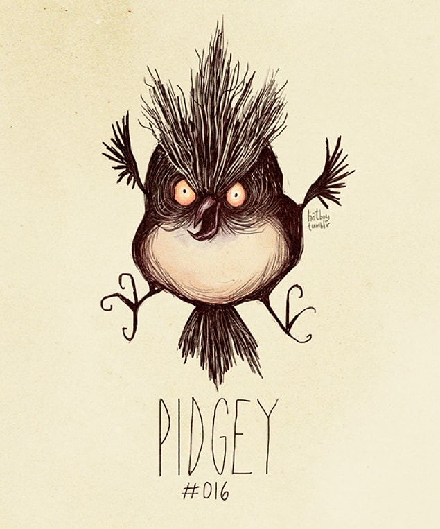 16. Pidgey
