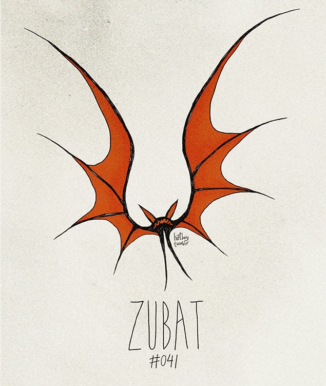41. Zubat