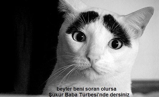 20. Üniversiteliler için yorucu final haftasının başlaması