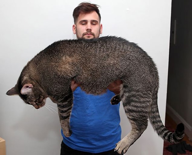 9.