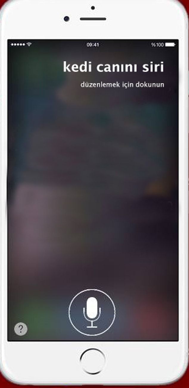 16. Siri'yi Taciz Ettik.