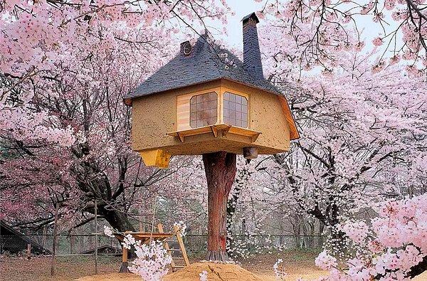 22- Japonya'da Bulunan Kiraz Çiçeği Ağacı Ortasında Ağaç Ev