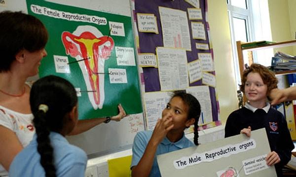 17. Cinsellik eğitimine ilkokulda başlanması.
