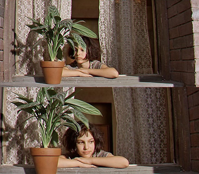 16.