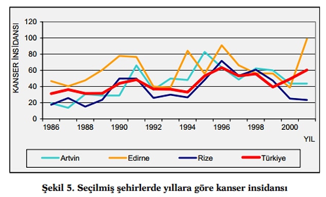 22. Karadeniz'de kanser görülme tablosu