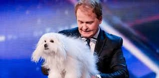 Dünyanın İnsan Gibi Konuşan İlk ve Tek Köpeği