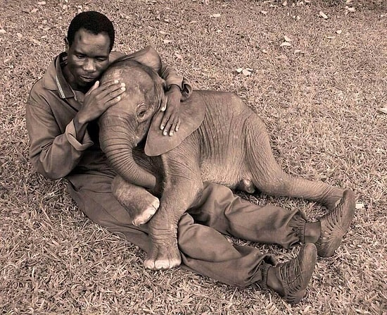 Hayvanların Herkesle Kanka Olmaya Başlamalarının 15 Gülümseten Örneği