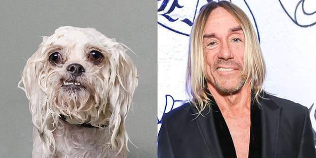 3. Iggy Pup