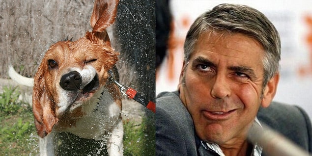 4. George Coon-hound
