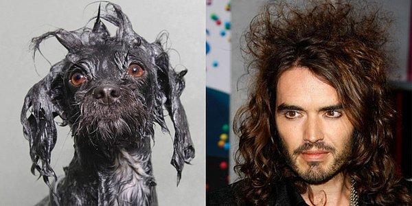 11. Jack-Russell Brand