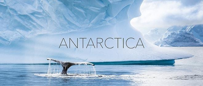Sizleri Antarktika'nın Doyumsuz Güzelliği ve Sakinliği ile Baş Başa Bırakıyoruz