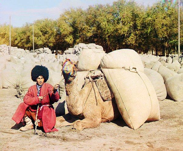 4. Devesiyle tahıl veya pamuk taşıyan bir Türkmen (1905-1915)