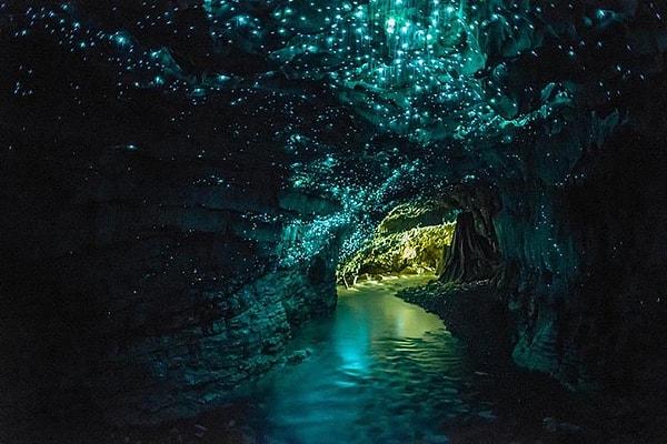 2. Parlayan Solucan Mağarası, Yeni Zelanda