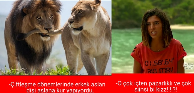 YARDIR!!! MERVE AYDIN