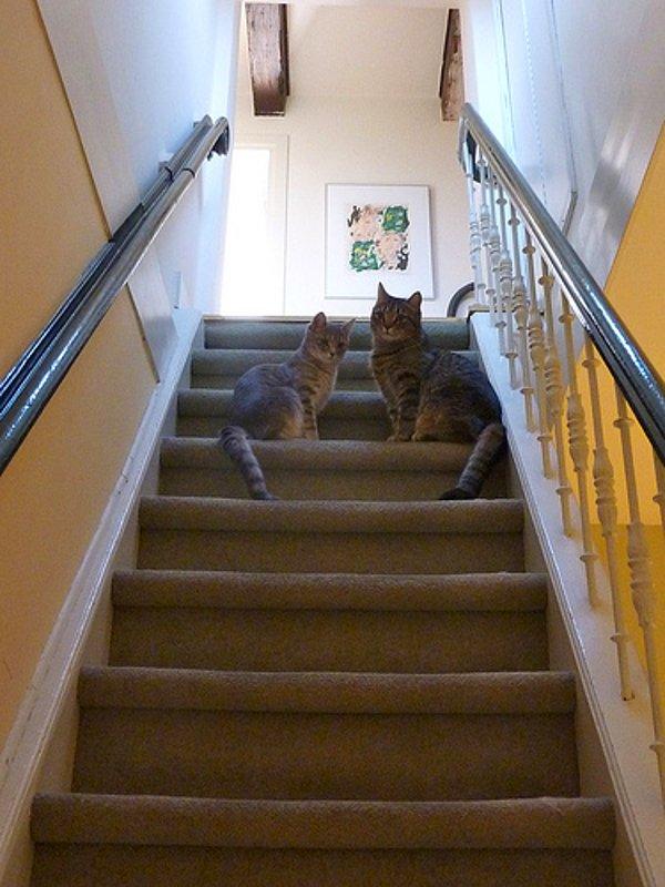 13. Çocuklarını bu merdivende doğurmuş onları bu merdivende büyütmüş