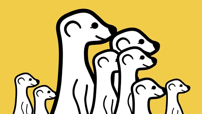 Facebook, Meerkat'ı Satın Alabilir