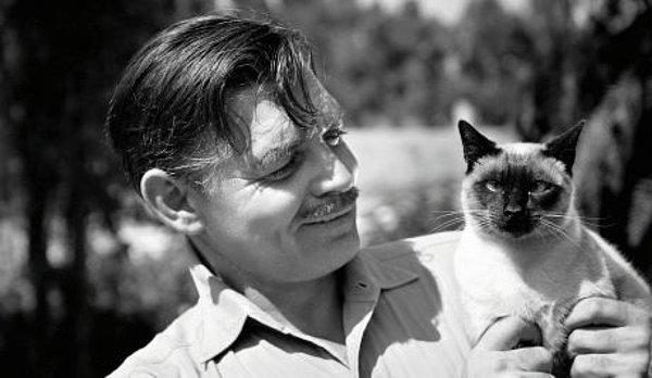 8. Clark Gable