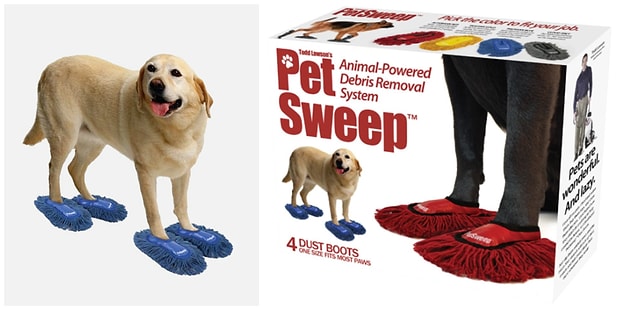 Evcil Hayvanlar Icin Uretilmis Cogu Gereksiz Ve Sinir Bozucu 18 Urun