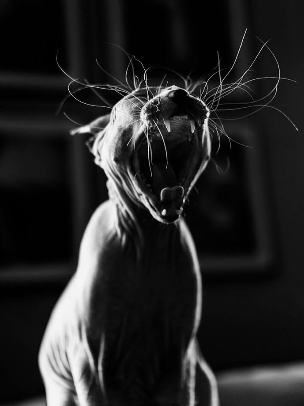 Blixxa Artworx'dan Bilinçaltına İşleyecek 10 Zihinötesi Fotoğraf Çalışması