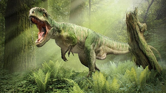 Drone’lar Bu Kez Tarih Öncesini Araştıracak