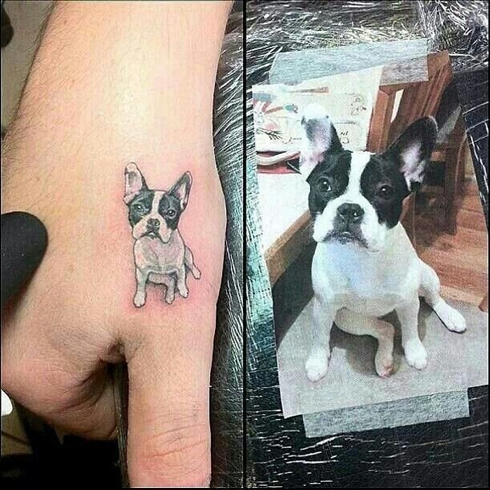 Hanimiş Benim Minnoşum Dedirten En Güzel 10 Hayvan Dövmesi