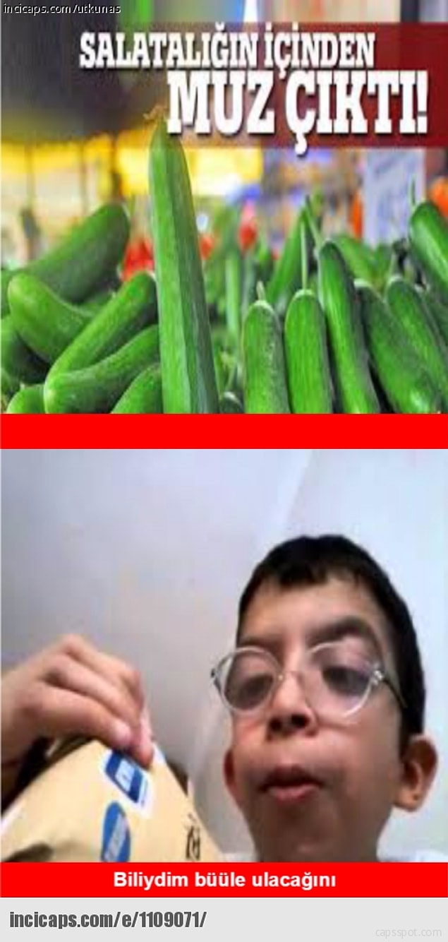 16.
