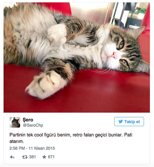 Genelde egosu yüksek ve karizmasının farkındaydı.