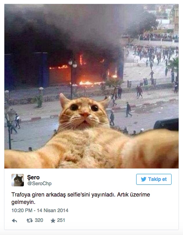 Meşhur ''trafoya kedi girdi'' açıklaması en çok ona yaradı, sağlam malzeme çıkardı