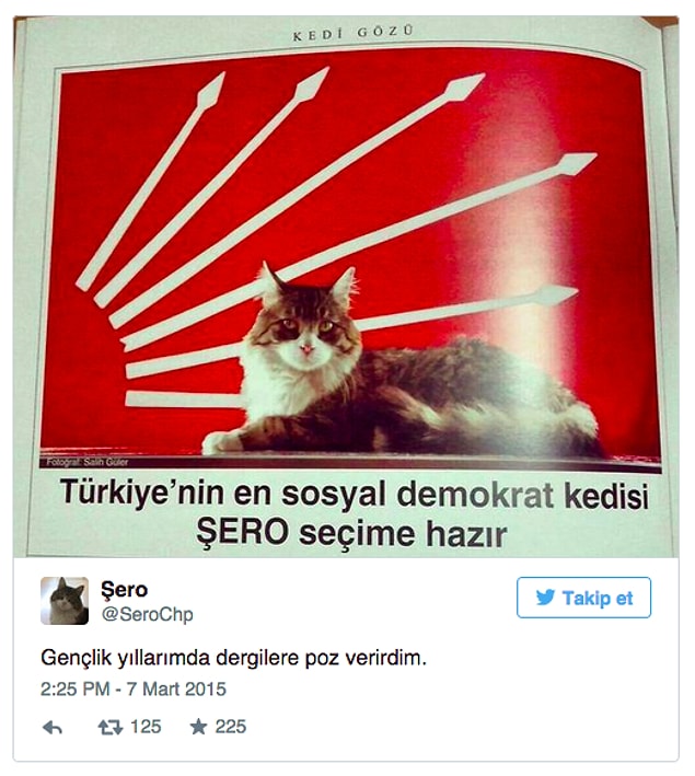 Şan şöhret artınca durumu değerlendirdi, star ışığını saçtı