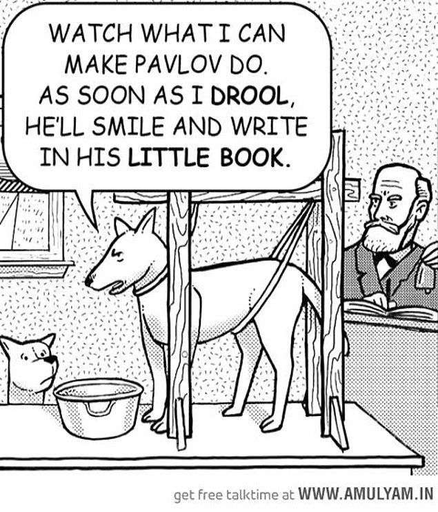 1. En bilinen ile başlayalım: Pavlov'un Köpeği