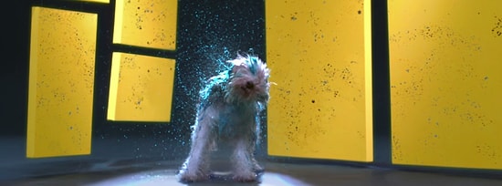 Tüyleri Boyalı Köpeklerden Silkelenme Yoluyla Tablo | Farkındalık İçerir