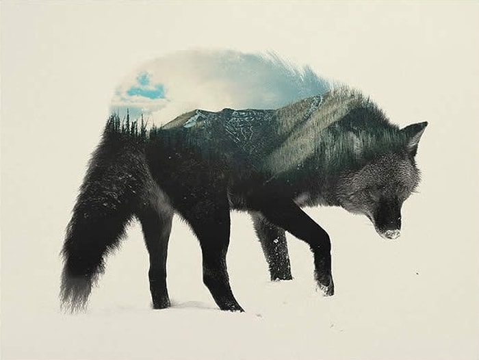 "Andreas Lie"dan Üst Üste Fotoğraflama Tekniğiyle Yapılmış 22 Çalışma