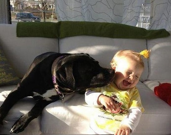 Hayvanların Hissettirdiği Mutluluğun ve Huzurun Bir Benzeri Olmadığını Gösteren 15 Fotoğraf