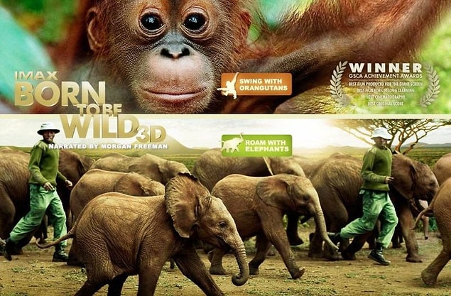 11. Born To Be Wild