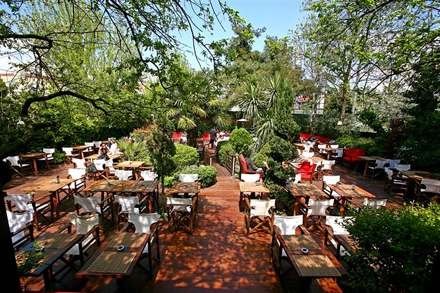 Harvard Cafe