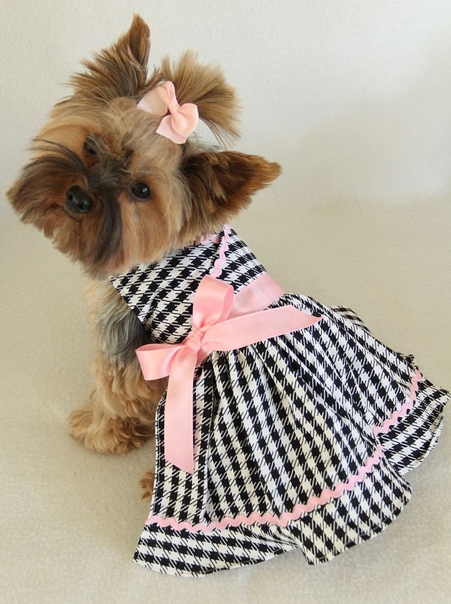 10. Gingham moda olur da ben uygulamam mı?