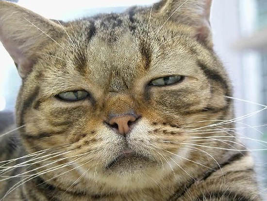 Uykuyla İlgili Hepimizin Sürekli Yaşadığı 15 Tespit Gibi Tespit