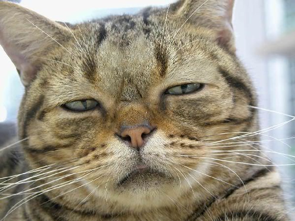 Uykuyla İlgili Hepimizin Sürekli Yaşadığı 15 Tespit Gibi Tespit