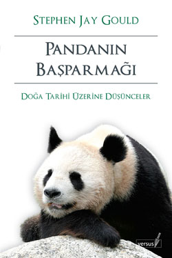 17. Pandanın Başparmağı