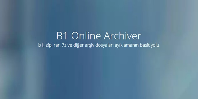 B1 Online Archiver