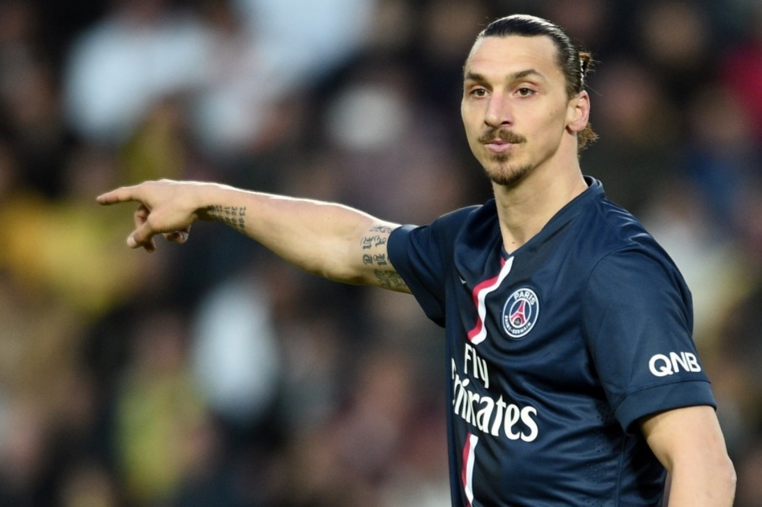 King Zlatan Lion