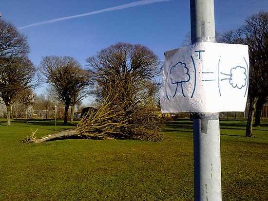 11 Ağaçlandırma Fiyaskosu Örneği ile Dünya Peyzajcılar Günü Kutlu Olsun!