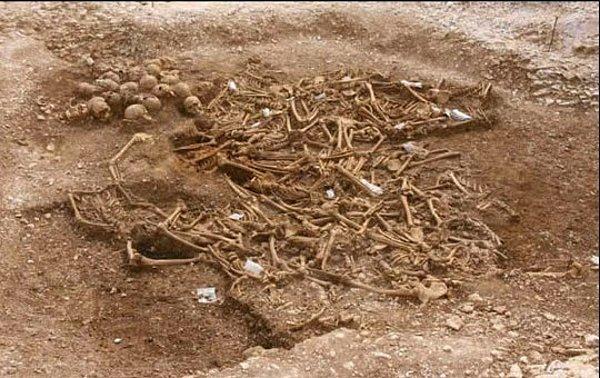 10. 910 yılından kalma olduğu düşünülen, katledilen 54 Viking askerinin kemikleri
