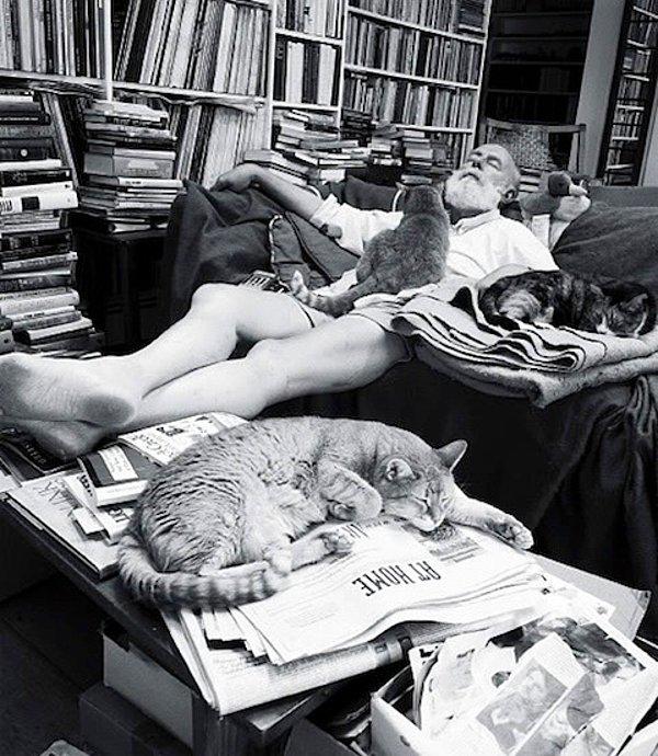 8. Edward Gorey kedileriyle birlikte uyurken