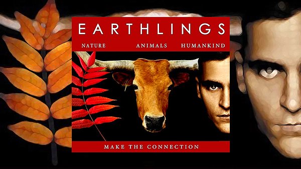 5. Earthlings (2005) - Dünyalılar