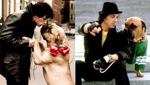 26. Sylvester Stallone parasız kalmıştı ve köpeğini 50 dolara sattı. Bir hafta sonra Rocky filminin senaryosunu satınca hemen köpeğini 3 bin dolara geri aldı.