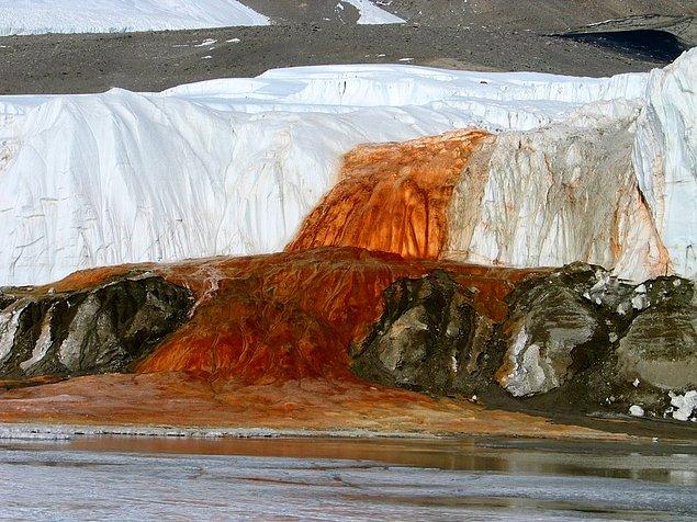 8. Antartika denilince hemen akla gelen şeylerden biri olan 'Kanlı Şelale'nin sırrı, suya karışan demir oksit'de saklı.
